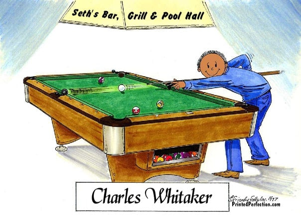 Pool Player - Billiards, Male - Friendly Folks image 1
