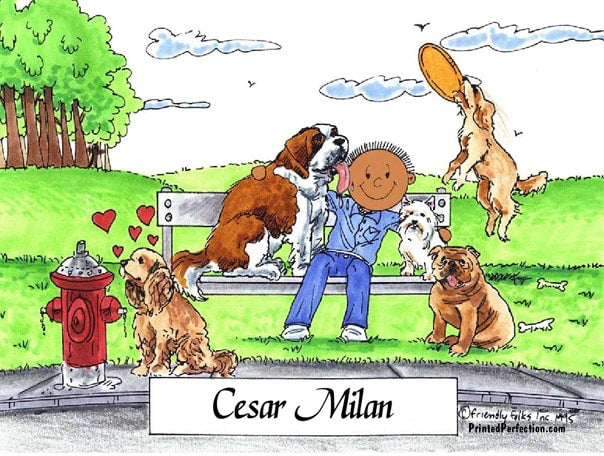 Dog Lover, Male - Friendly Folks image 1