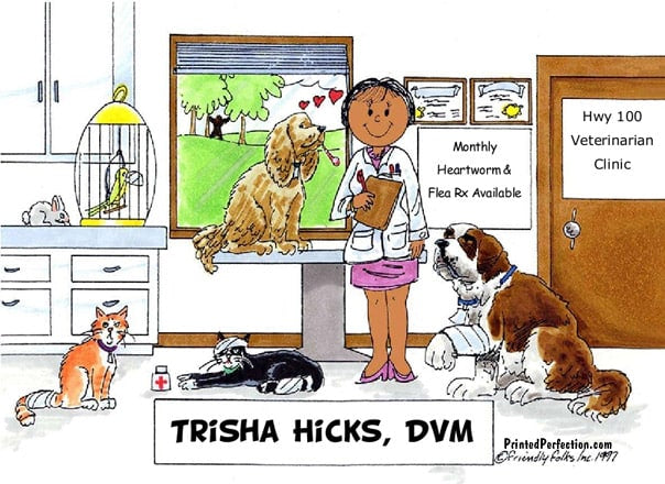 Veterinarian, Female - Friendly Folks image 1
