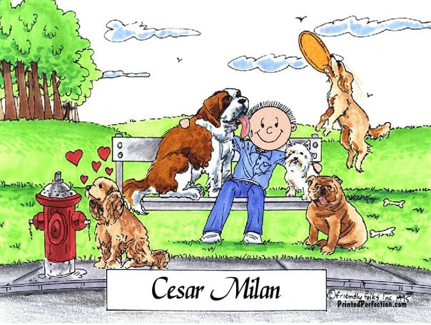 Dog Lover, Male - Friendly Folks image 0