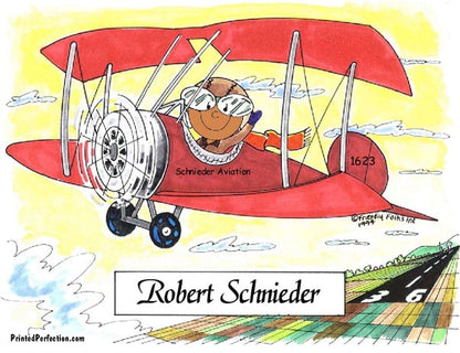 Pilot, Male - Friendly Folks image 1