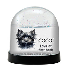 Affenpinscher Dog Watercolor Bust Personalized Snow Globe