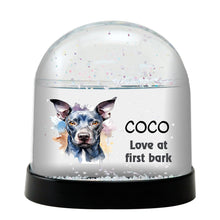 American Hairless Terrier Dog Watercolor Bust Personalized Snow Globe