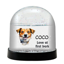 Barbado Da Terceira Dog Watercolor Bust Personalized Snow Globe