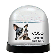 Bouvierdes Flandres Dog Watercolor Bust Personalized Snow Globe