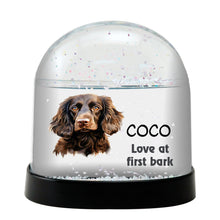 Boykin Spaniel Dog Watercolor Bust Personalized Snow Globe