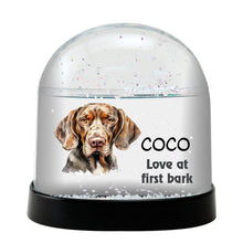 BraccoItalian Dog Watercolor Bust Personalized Snow Globe