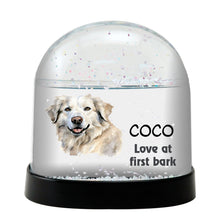 Braque Francais Pyrenean Dog Personalized Snow Globe