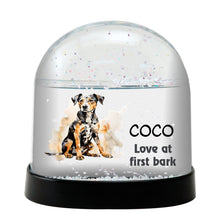 Braque St Germain Dog Watercolor Bust Personalized Snow Globe