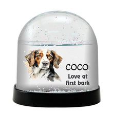 Braquedubo Urbonnais Dog Watercolor Bust Personalized Snow Globe