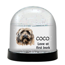 Briard Dog Watercolor Bust Personalized Snow Globe