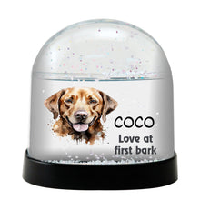 Broholmer Dog Watercolor Bust Personalized Snow Globe