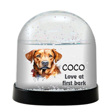 Broholmer 2 Dog Watercolor Bust Personalized Snow Globe
