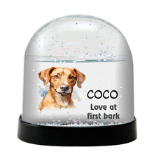Cane Corso Dog Watercolor Bust Personalized Snow Globe