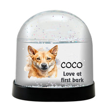 Carolina Dog Watercolor Bust Personalized Snow Globe