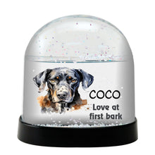 Catahoula Leopard Dog Watercolor Bust Personalized Snow Globe