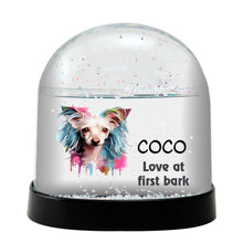 Chinese Crested Dog Watercolor Bust Personalized Snow Globe