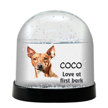 Cirneco Delletna Dog Watercolor Bust Personalized Snow Globe