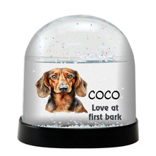 Dachshund Dog Watercolor Bust Personalized Snow Globe