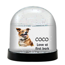 Danish Swedish Farmdog Watercolor Bust Personalized Snow Globe