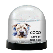 Dogo Argentino Dog Watercolor Bust Personalized Snow Globe
