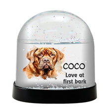 Dogo Argentino Dog Watercolor Bust Personalized Snow Globe