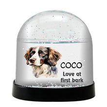 Drentsche Patrijshonds Dog Watercolor Bust Personalized Snow Globe