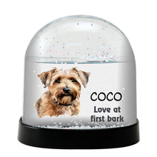 Glend of Imaal Watercolor Bust Personalized Snow Globe