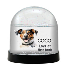 Hamiltonstovare Dog Watercolor Bust Personalized Snow Globe