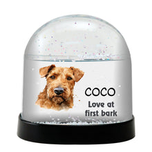 Irish Terrier Dog Watercolor Bust Personalized Snow Globe