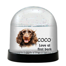 Irish Water Spaniel Dog Watercolor Bust Personalized Snow Globe