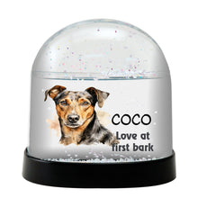 Jagd Terrier Dog Watercolor Bust Personalized Snow Globe