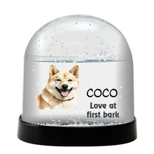 Korean Jindo Dog Watercolor Bust Personalized Snow Globe