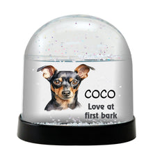 Miniature Pinscher Dog Watercolor Bust Personalized Snow Globe