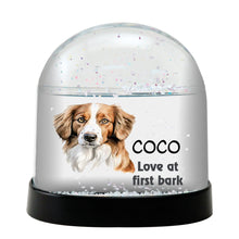 Nederlandse Kooikerhondje Dog Watercolor Bust Personalized Snow Globe