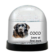 Newfoundland Dog Watercolor Bust Personalized Snow Globe