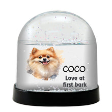 Pomeranian Dog Watercolor Bust Personalized Snow Globe