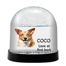 Portuguese Podengo Watercolor Bust Personalized Snow Globe