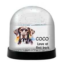 Portuguese Pointer Watercolor Bust Personalized Snow Globe