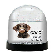 Pudelpointer Watercolor Bust Personalized Snow Globe