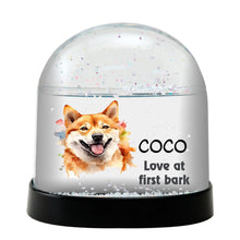 Shiba Inu Watercolor Bust Personalized Snow Globe