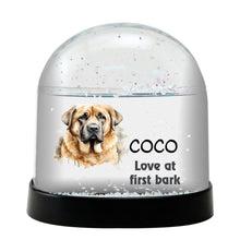 Spanish Mastiff Watercolor Bust Personalized Snow Globe