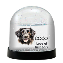 Stabyhoun Dog Watercolor Bust Personalized Snow Globe