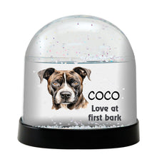Treeing Tennessee Brindle Dog Watercolor Bust Personalized Snow Globe