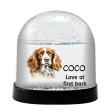 Welsh Springer Spaniel Dog Watercolor Bust Personalized Snow Globe