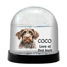 Wirehaired Pointing Griffon Dog Watercolor Bust Personalized Snow Globe
