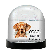 Wirehaired Vizsla Dog Watercolor Bust Personalized Snow Globe