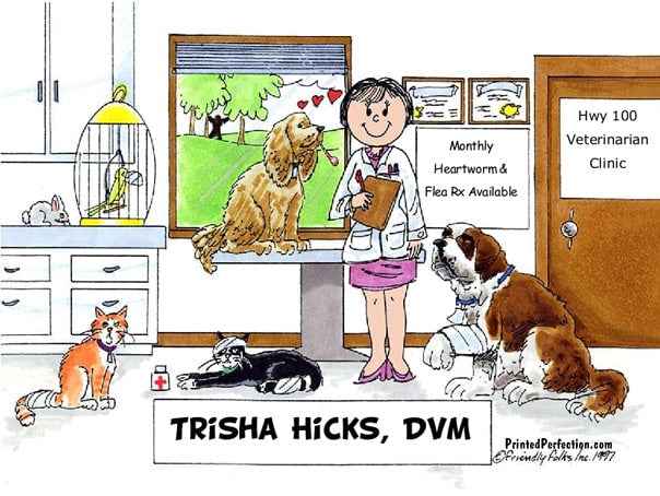 Veterinarian, Female - Friendly Folks image 0