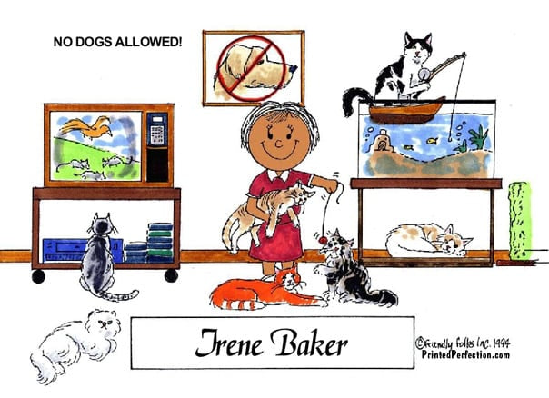 Cat Lover, Female - Friendly Folks image 1